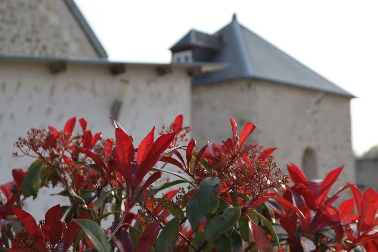 Gites De Saint Remy Villers-Cotterêts Eksteriør bilde